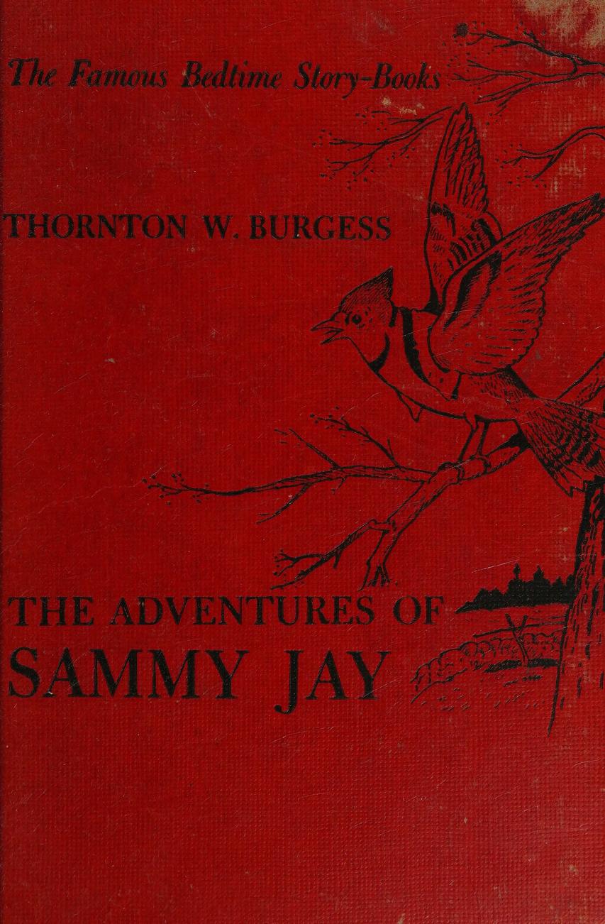The Adventures of Sammy Jay cover